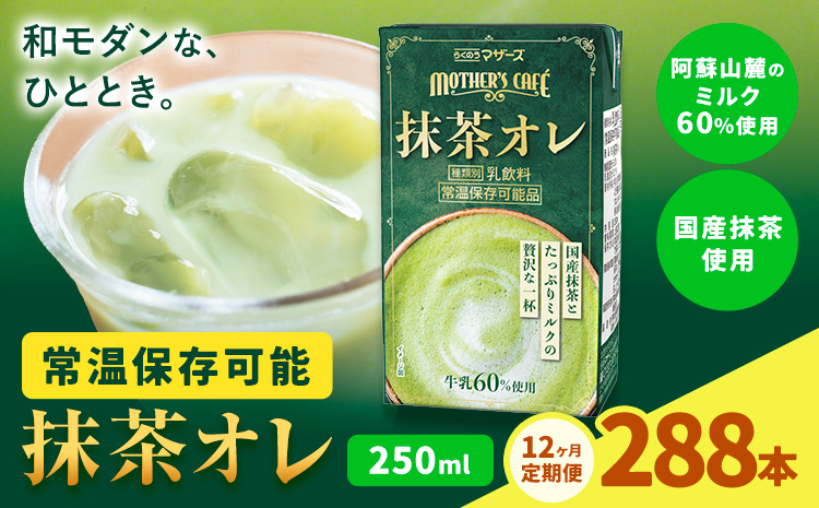 【12ヶ月定期便】250ml×24本／月×12回（計288本） 抹茶・オ・レ 合同会社たべたせいか《お申し込みの翌月から出荷》 抹茶オーレ 抹茶オレ 抹茶ミルク 抹茶 抹茶 乳製品 乳飲料 クロレラ 飲み物 飲料 常温保存 お取り寄せ 国産抹茶 熊本県産 菊池市 送料無料