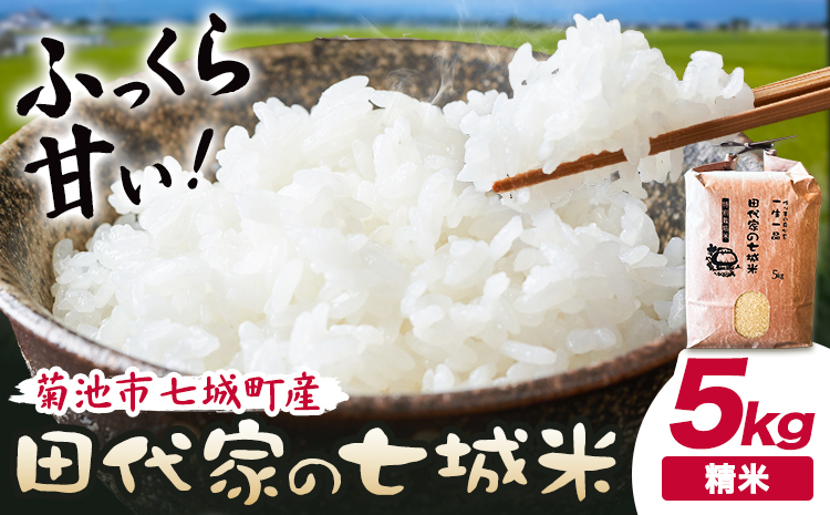 令和7年産 菊池市七城町産 田代家の七城米 七城ヒノヒカリ精米 5kg 田代こめや《30日以内に出荷予定(土日祝除く)》熊本県 菊池市 米 お米 精米 ひのひかり 菊池市産 熊本県産 九州産 送料無料