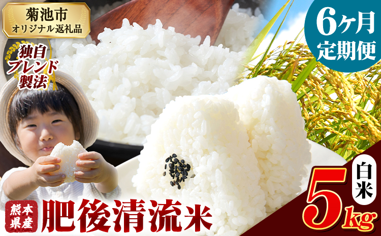 【6ヶ月定期便】熊本県産 肥後清流米 白米 5kg ブレンド米 熊本県産 ふるさと納税 精米 米 こめ ふるさとのうぜい コメ お米 おこめ《お申込み翌月から出荷》