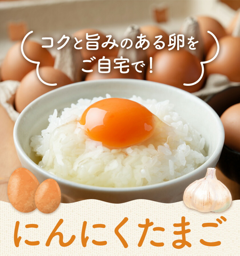 卵 にんにくたまご 内容量 30個 株式会社つづき《90日以内に出荷予定(土日祝除く)》熊本県 菊池市 卵 たまご にんにく卵 鶏卵 熊本県産 九州産 冷蔵 送料無料