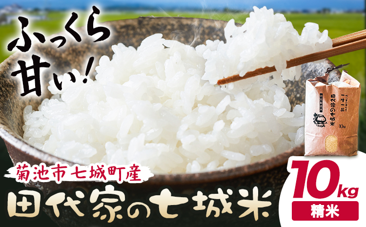 令和7年産 菊池市七城町産 田代家の七城米 七城ヒノヒカリ精米 10kg 田代こめや《30日以内に出荷予定(土日祝除く)》熊本県 菊池市 米 お米 精米 ひのひかり 菊池市産 熊本県産 九州産 送料無料