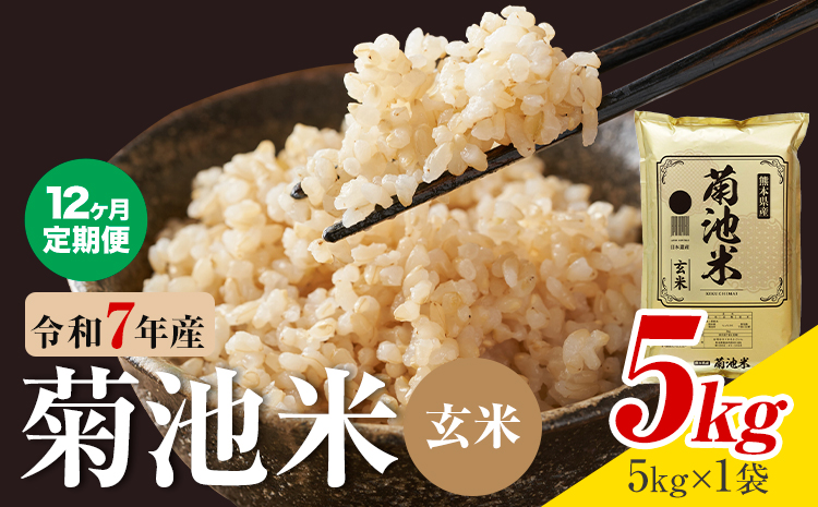 【12ヶ月定期便】熊本県産 菊池米 玄米 5kg 1袋5kg 米 お米 令和7年産 九州産 熊本県産  送料無料《お申込み翌月に出荷予定》玄米 米