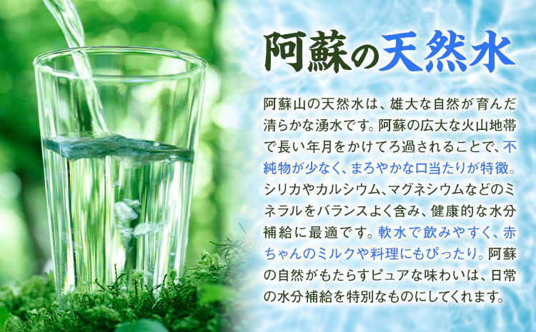 【6ヶ月定期便】シリカ天然水 2L×10本 計60本 株式会社Foody's《申込月の翌月から出荷開始》熊本県 菊池市 シリカ水 飲料水 ミネラルウォーター 水 軟水 鉱水 ペットボトル 定期便