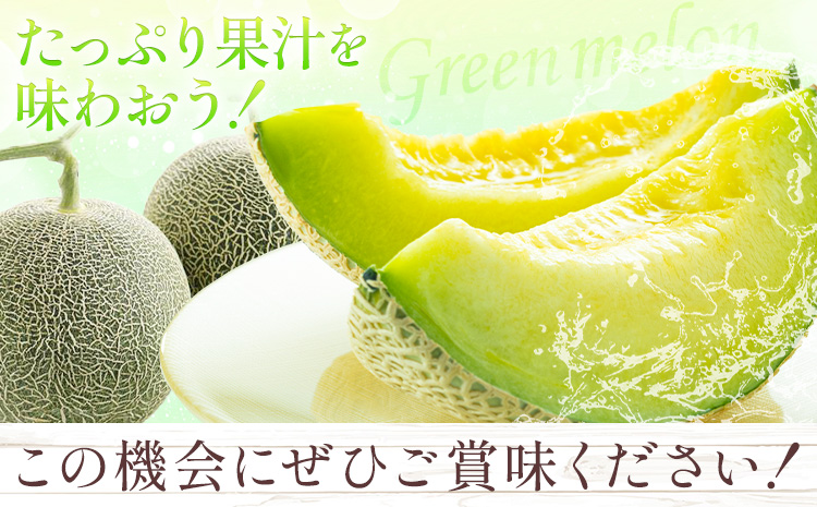 肥後グリーン メロン 2玉 約3.2kg 七城町特産品センター《5月中旬-6月末頃出荷》熊本県 菊池市 メロン 果物 フルーツ 九州産 熊本県産 めろん グリーンメロン