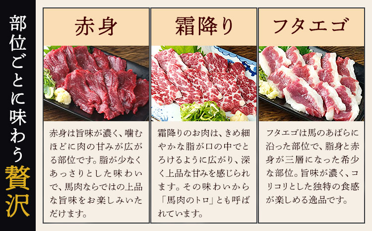 銬åºã 5çš® çãåãã ã»ãã èš250g 5人å çæ¬çŽé 赀身 ééã ãã¿ãšãŽ ãã©ã㢠ã³ãŒã æ ªåŒäŒç€ŸFoodyâsã30æ¥ä»¥å
ã«åºè·äºå®(忥ç¥é€ã)ãçæ¬ç èæ± åž éŠ¬åºã 銬è è ãè