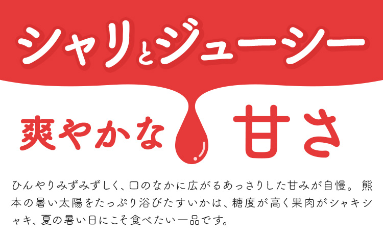 【先行予約】スイカ 大玉すいか 秀品 1玉 約 6kg ～ 9kg 株式会社Foody’s 食彩たかみ 《2026年5月下旬-7月下旬頃出荷》 熊本県 菊池市 フルーツ 果物 スイカ すいか 大玉 九州産 冷蔵 送料無料