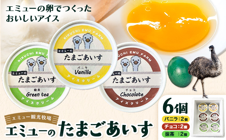 エミューのたまごアイス 6個入り エミュー観光牧場 《30日以内に出荷予定(土日祝除く)》 熊本県 菊池市 卵 たまご エミュー 食用卵 アイス デザート 国産 熊本県産 産地直送 送料無料