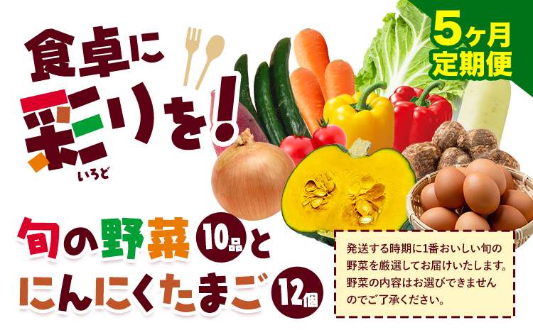 旬の野菜とたまごのセットメロンドーム 野菜 卵 にんにくたまご 卵 詰め合わせ 5ヶ月 定期便 有限会社七城町特産品センター《お申し込みの翌月から出荷》熊本県 菊池市 セット 新鮮 国産 九州産 熊本県 菊池市 道の駅 旬
