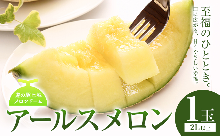 アールスメロン 1玉 2L以上【メロンドーム】 メロン 果物 フルーツ マスクメロン 九州産 熊本県産 送料無料《7月中旬-11月上旬頃出荷》
