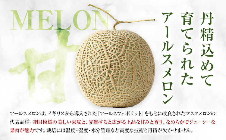 アールスメロン 約2kg×2玉 (約4kg)【養生市場】メロン 果物 フルーツ マスクメロン 九州産 熊本県産 送料無料 《2026年10月中旬-11月中旬頃出荷予定》