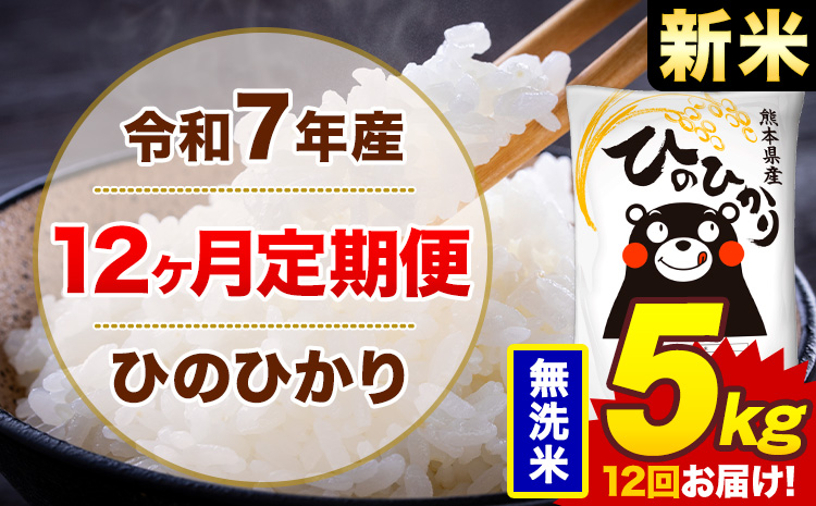 【12ヶ月定期便】新米 令和7年産 無洗米 5kg 米 ひのひかり《お申込み月の翌月から出荷開始》熊本県 菊池市 国産 熊本県産 白米 精米 無洗米 送料無料 ヒノヒカリ こめ お米