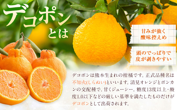菊池銘菓 ブッセシリーズ 詰め合わせセット 1箱12個入り 3種×各4個 有限会社中原松月堂《30日以内に出荷予定(土日祝除く)》熊本県 菊池市 和菓子 洋菓子 お菓子 焼き菓子 菓子折り 銘菓 抹茶 メロン デコポン ブッセ デザート スイーツ