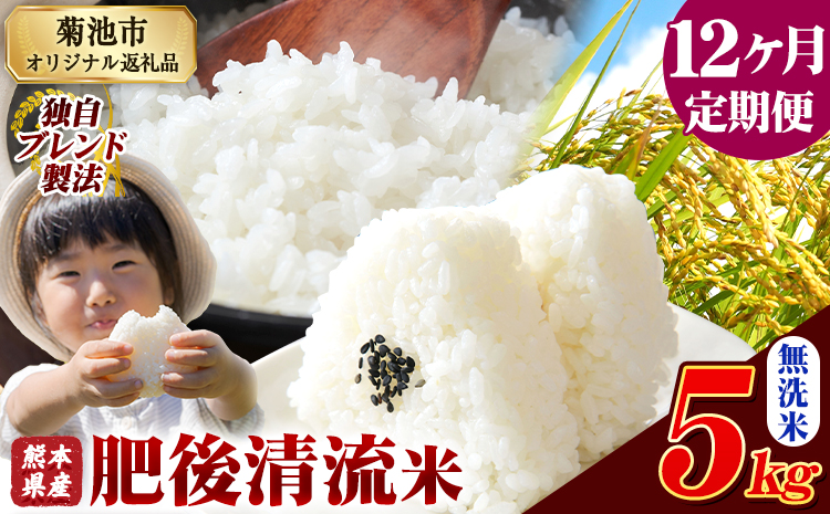 【12ヶ月定期便】熊本県産 肥後清流米 無洗米 5kg ブレンド米 熊本県産 ふるさと納税 精米 米 こめ ふるさとのうぜい コメ お米 おこめ《お申込み翌月から出荷》