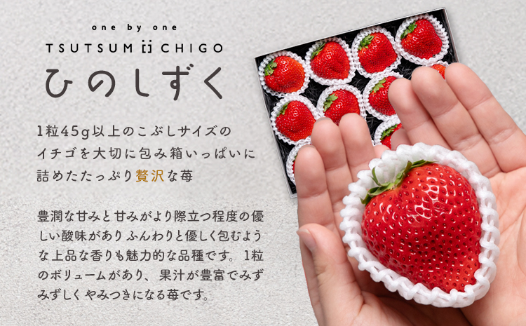 贅沢イチゴ ひのしずく 約45g×12玉 いちご イチゴ 苺《2026年3月発送予定》ヴァリアス株式会社 果物 くだもの フルーツ 希少 ギフト プレゼント 贈り物 国産 九州産 熊本県 菊池市 送料無料