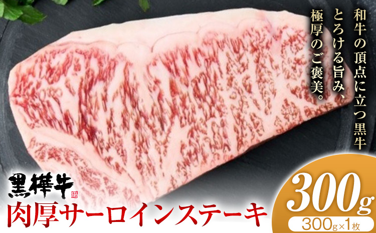 くまもと黒毛和牛 黒樺牛 A4〜A5等級 肉厚サーロインステーキ 300g 株式会社杉本本店 《90日以内に出荷(土日祝除く)》熊本県 菊池市 特大 牛肉 牛 肉厚 お肉 ステーキ 黒毛和牛 国産 九州産 熊本県産 冷凍 送料無料