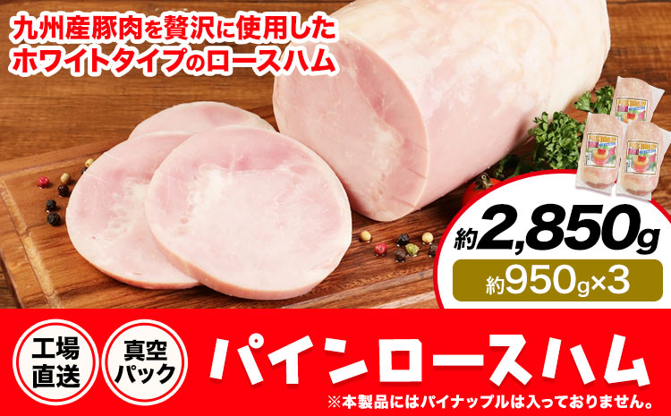 パインロースハム 3個 (1個約950g) ロース ハム ブロック 豚ロース 豚肉 真空パック 福留ハム 工場直送 冷蔵 国内製造 送料無料 《30日以内に出荷予定(土日祝除く)》