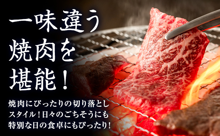 GIèªèšŒååŸ ããŸããšããç çŒèçš åãèœãšã 300gÃ2ãã㯠åèš600g ããç åèœã çè è åœç£ ä¹å·ç£ çæ¬çç£ å·åã30æ¥ä»¥å
ã«åºè·(忥ç¥é€ã)ã