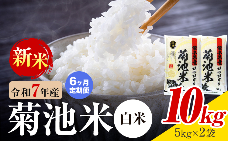 【6ヶ月定期便】熊本県産 菊池米 白米 10kg 1袋5kg 米 お米 令和7年産 九州産 熊本県産 送料無料《お申込み翌月に出荷予定》 白米 米