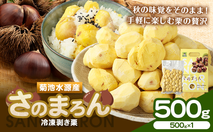 菊池水源産 さのまろん 冷凍剥き栗 内容量 約500g 農事組合法人菊池佐野《30日以内に出荷予定(土日祝除く)》熊本県 菊池市 栗 むき栗 筑波 冷凍 熊本県産 九州産 国産 送料無料