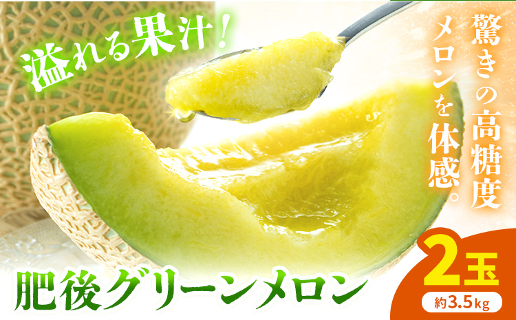 【先行予約】肥後グリーンメロン 2玉 約3.5kg 日本フルーツ株式会社《5月上旬-7月下旬頃出荷》熊本県 菊池市 メロン 熊本県産