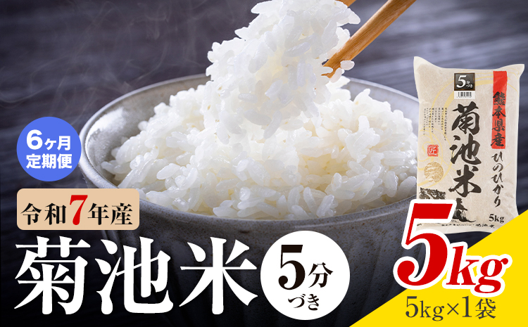 【6ヶ月定期便】令和7年産 熊本県産 菊池米 5分づき 5kg 1袋5kg 株式会社くまもとごはん 《お申込み翌月に出荷予定》米 お米 令和7年産 九州産 熊本県産  送料無料
