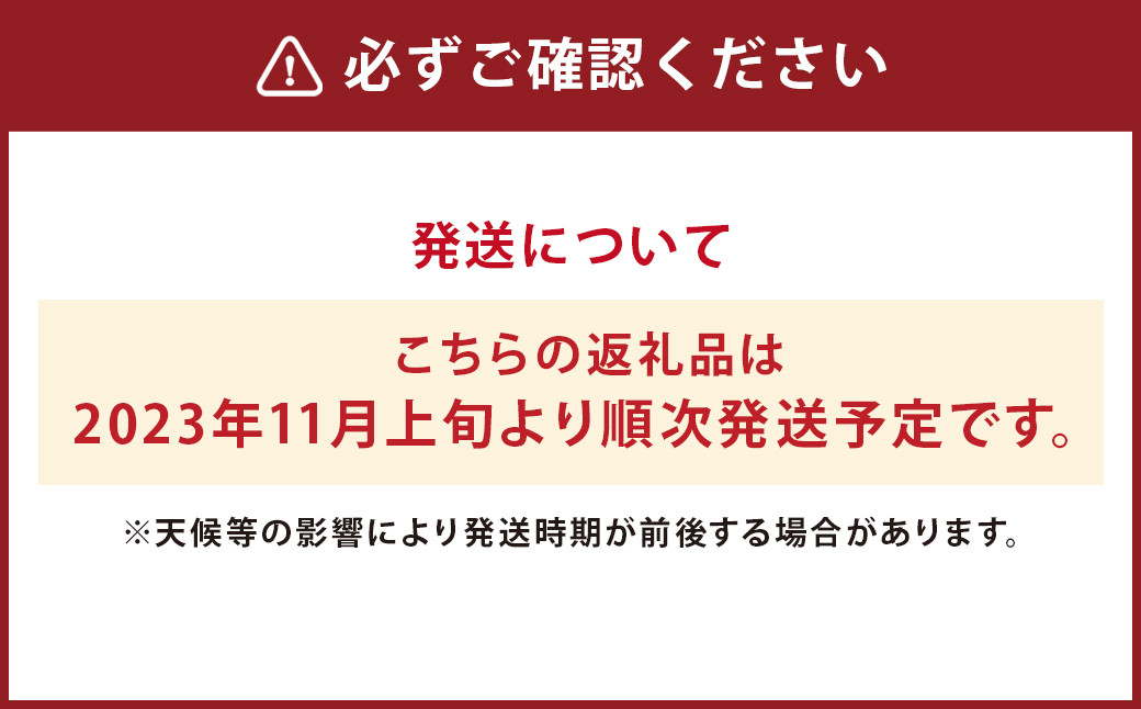 【2023年11月上旬より順次発送】菊芋(生) 3kg 芋 きくいも 野菜 【メロンドーム】