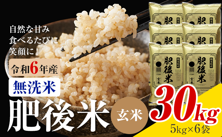 熊本県産 肥後米 無洗米 玄米 30kg 1袋5kg 米 お米 令和6年産 九州産 熊本県産 ブレンド米 送料無料《30日以内に出荷予定（土日祝除く）》玄米 無洗米 米