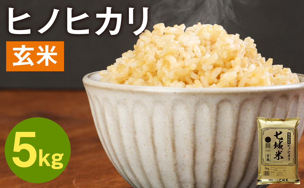 熊本県菊池産 ヒノヒカリ 5kg 玄米 米 お米 令和4年産