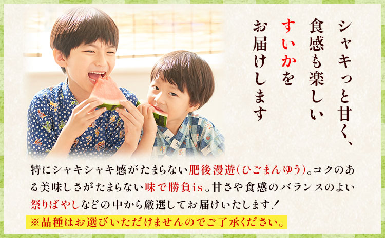 【先行予約】厳選すいか 1玉(6-7kg) 道の駅七城メロンドーム《5月中旬-6月中旬頃出荷》品種おまかせ ランダム 肥後漫遊 味で勝負iS 祭りばやし 果物 フルーツ スイカ 西瓜 九州産 熊本県産 送料無料
