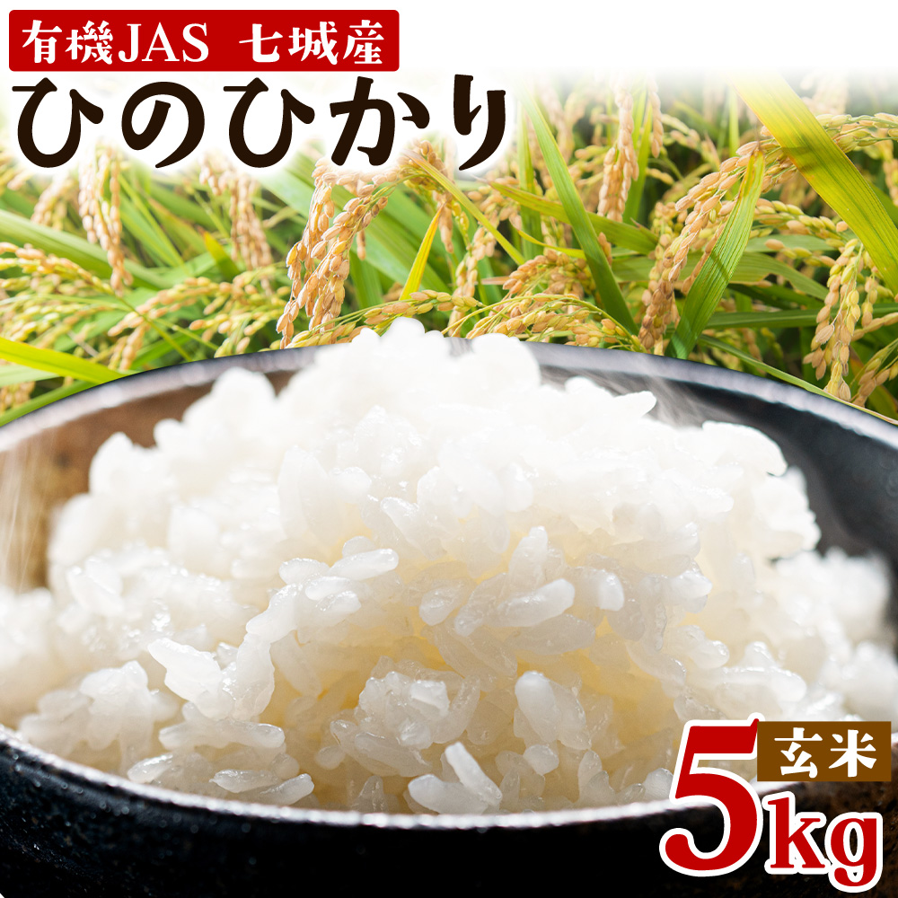 令和7年産 有機JAS 七城産ひのひかり 玄米 5kg《30日以内に出荷予定(土日祝除く)》 渡辺農産 熊本県 菊池市 米 お米 精米 ひのひかり 菊池市産 熊本県産 九州産 送料無料