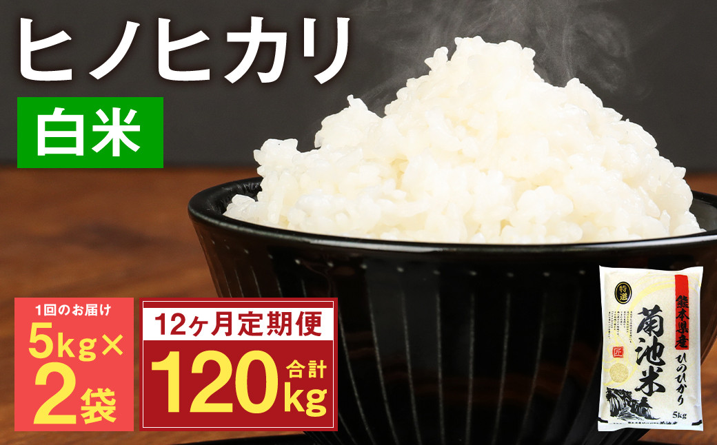 【12ヶ月定期便】熊本県菊池産 ヒノヒカリ 5kg×2袋×12回 計120kg 精米 お米 白米