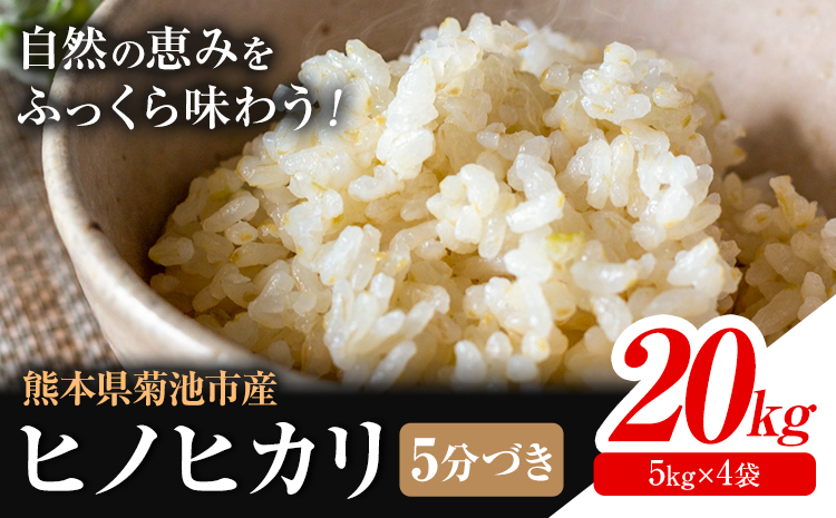 米 ヒノヒカリ 5分づき 20kg 内容量 1袋 5kg 合同会社くまもとごはん 《30日以内に出荷予定(土日祝除く)》 熊本県 菊池市 お米 分づき米 九州産 熊本県産 白米 無洗米 ひのひかり 送料無料