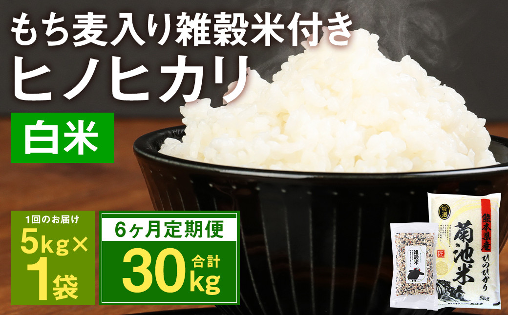 【定期便6ヵ月】熊本県菊池産 ヒノヒカリ 精米 計30kg(5kg×6) もち麦入り雑穀米 計1.2kg(200g×6) 米 お米 低温保管 残留農薬ゼロ