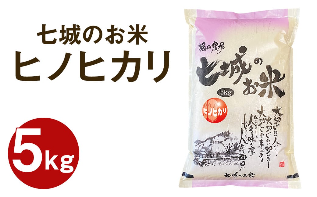 【令和6年産】 七城のお米 ヒノヒカリ 5kg 米 白米 精米 こめ コメ お米 ごはん ご飯 熊本県産