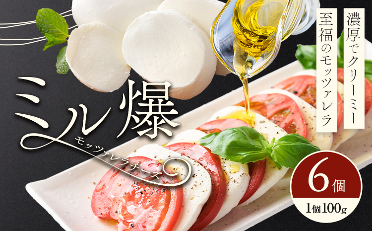 ã¢ããã¡ã¬ã©ããŒãº ãã«ç 6å ããŒãº ã¢ã¶ã¬ã© æ ªåŒäŒç€Ÿãã©ã«ãã»ãŽã§ã¹ã¿ã90æ¥ä»¥å
ã«åºè·äºå®(忥ç¥é€ã)ããã¬ãã·ã¥ ã«ãã¬ãŒãŒ ãã€ãŸã¿ åè æäœã åœç£ çæ¬ç èæ± åž éæç¡æ