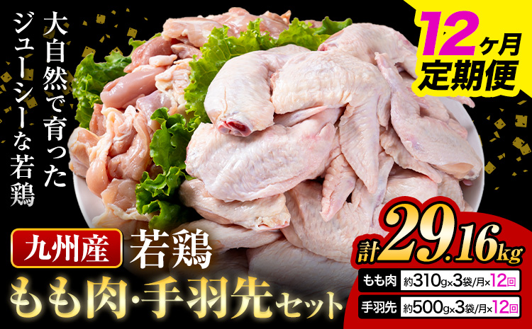 【12ヶ月定期便】 九州産 若鶏もも肉（310g×3袋）・手羽先セット（500g×3袋） 計2.43kg  鶏肉 肉 鶏 手羽 唐揚げ 詰め合わせ セット 冷凍 九州 国産 熊本県 菊池市 送料無料《お申込み翌月から出荷》