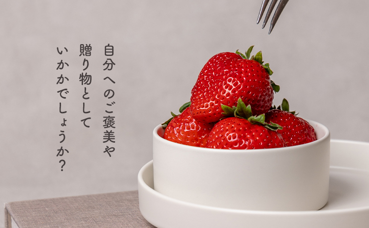 贅沢イチゴ ひのしずく 約45g×12玉 いちご イチゴ 苺《2026年3月発送予定》ヴァリアス株式会社 果物 くだもの フルーツ 希少 ギフト プレゼント 贈り物 国産 九州産 熊本県 菊池市 送料無料