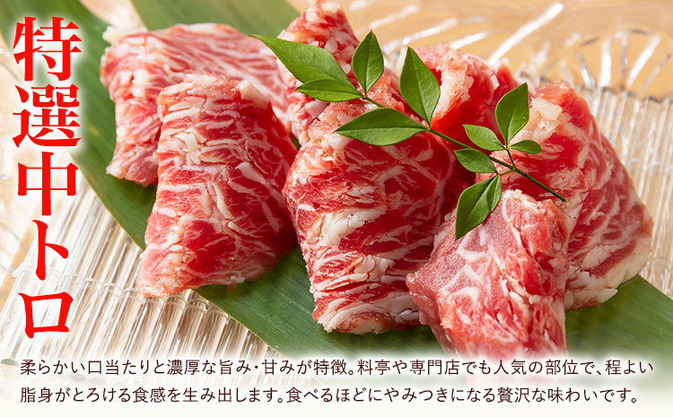 馬刺し スライス 2種セット 計200g 赤身 特選中トロ 馬刺しタレ 有限会社草佳苑《30日以内に出荷予定(土日祝除く)》熊本県 菊池市 馬刺し 馬肉 肉 お肉 赤身 特選中トロ 馬刺しタレ