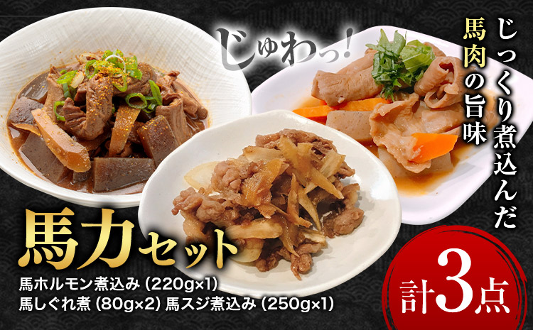 馬力セット 3種類 セット 計630g ホルモン煮込み しぐれ煮 スジ煮込み 株式会社有働精肉店《30日以内に出荷予定(土日祝除く)》熊本県 菊池市 おつまみ 惣菜 馬肉 ホルモン すじ肉 熊本県産 九州産 国産 冷凍 送料無料