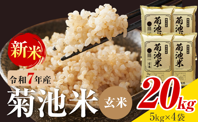令和7年産 熊本県産 菊池米 玄米 20kg 1袋5kg 株式会社くまもとごはん 《30日以内に出荷予定(土日祝除く)》米 お米 令和7年産 九州産 熊本県産  送料無料
