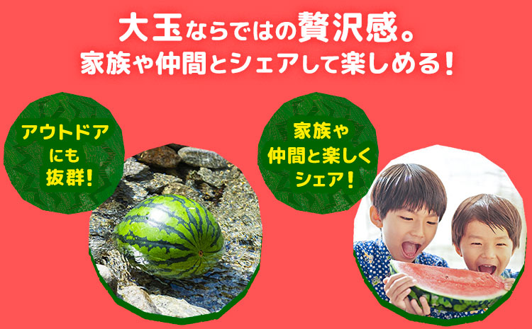【先行予約】大玉すいか 1玉約5kg 日本フルーツ株式会社《5月上旬-６月下旬頃出荷》熊本県 菊池市 すいか スイカ 大玉 熊本県産