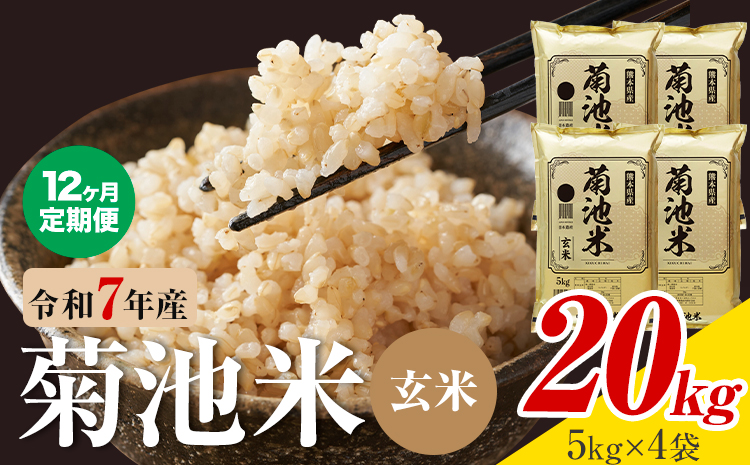 【12ヶ月定期便】熊本県産 菊池米 玄米 20kg 1袋5kg 米 お米 令和7年産 九州産 熊本県産 送料無料《お申込み翌月に出荷予定》玄米 米