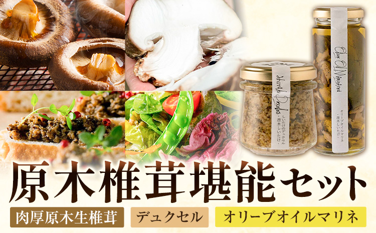 原木椎茸堪能セット 肉厚原木生椎茸 500g しいたけのデュクセル 2本 オリーブオイルマリネ 1本 合同会社 原田山業《90日以内に出荷予定(土日祝除く)》熊本県 菊池市 椎茸 しいたけ きのこ 肉厚 デュクセル オリーブオイル マリネ 瓶詰め セット 詰め合わせ