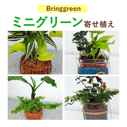 ミニグリーン 寄せ植え bring green Fleurbranch 《90日以内に出荷予定(土日祝除く)》熊本県 菊池市 観葉植物 植物 インテリア ガーデン 雑貨 エコ素材 贈物 プレゼント
