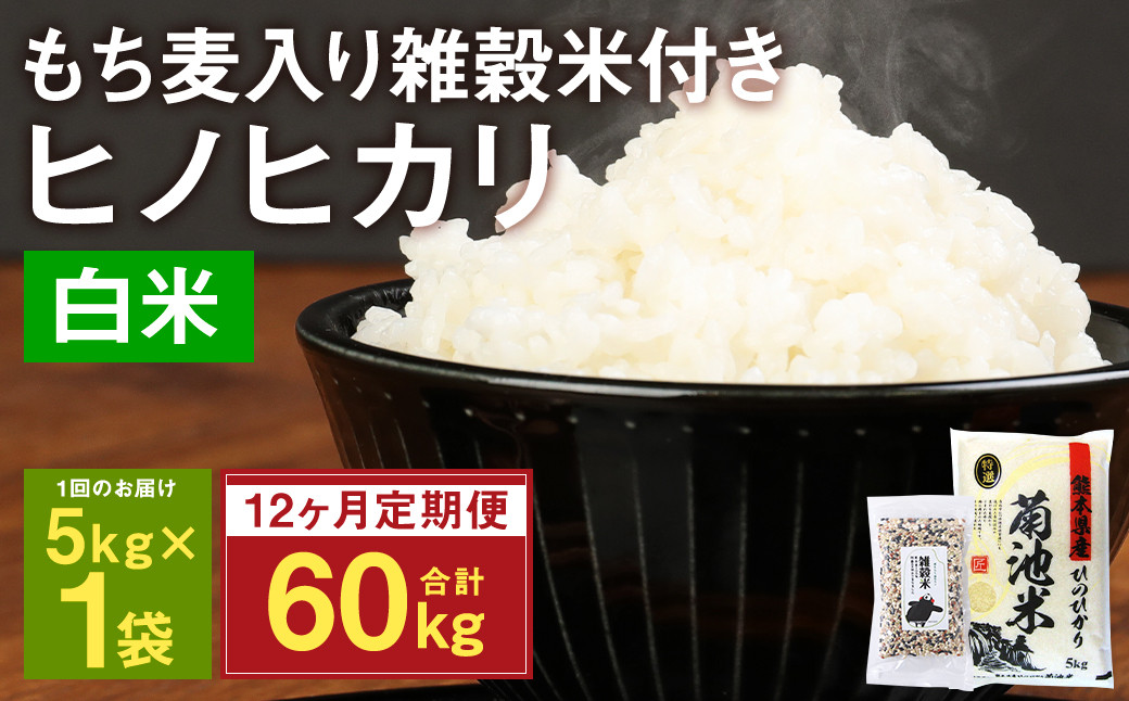 【定期便12ヵ月】熊本県菊池産 ヒノヒカリ 精米 計60kg(5kg×12) もち麦入り雑穀米 計2.4kg(200g×12) 低温保管 残留農薬ゼロ