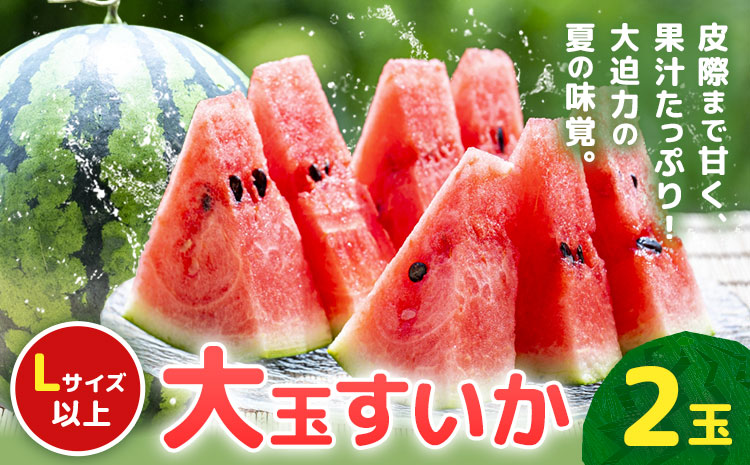 【先行予約】大玉すいか 2玉(約10kg) 日本フルーツ株式会社《4月下旬-7月下旬頃出荷》熊本県 菊池市 すいか スイカ 大玉 熊本県産