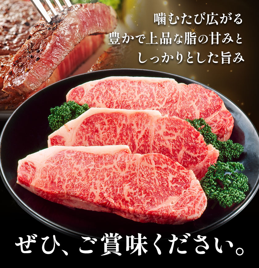 和王 サーロインステーキ用 約200g 菊池地域農業協同組合(JA菊池まんまキッチン)《90日以内に出荷予定(土日祝除く)》熊本県 菊池市 くまもと黒毛和牛 和牛 牛肉 お肉 ステーキ サーロインステーキ 熊本県産 九州産 国産 冷凍 送料無料