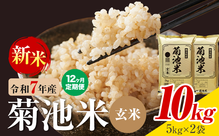 【12ヶ月定期便】熊本県産 菊池米 玄米 10kg 1袋5kg 米 お米 令和7年産 九州産 熊本県産 送料無料《お申込み翌月に出荷予定》玄米 米