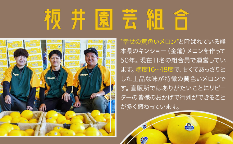 キンショーメロン 2kg(3〜6玉) メロン《4月上旬-7月上旬頃出荷》熊本県 菊池市 果物 フルーツ 金鐘 ノーネットメロン 黄色いメロン 菊池市産 熊本県産 九州産 送料無料