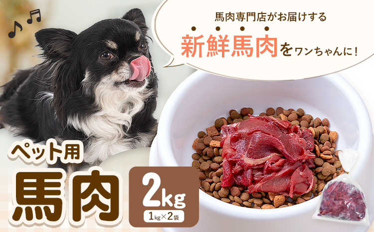 ペット用馬肉 2kg 五右衛門フーズ《30日以内に出荷予定(土日祝除く)》 ペット用 犬用 肉 馬肉 熊本県 菊池市